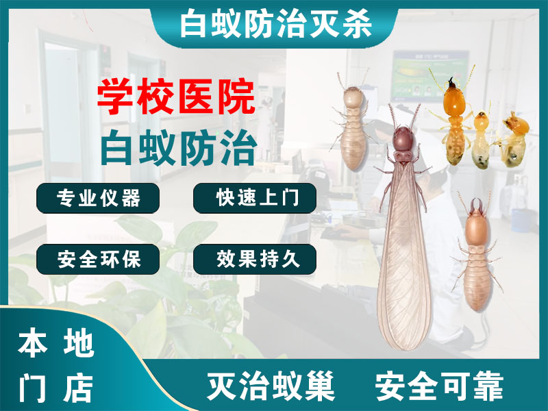 上城区学校医院白蚁防治