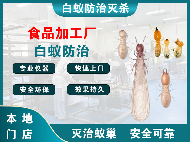 上城区食品加工厂白蚁防治