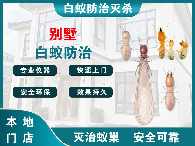 上城区别墅白蚁防治